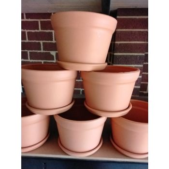 Cottage Succulents Pots With Saucers D: 150mm / H: 105mm / Vol: 1.1 L