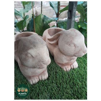 Rabbit Cement Planter D 30 x 15 x H 17