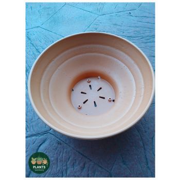 LARGE SUCCULENT BOWL 390mm