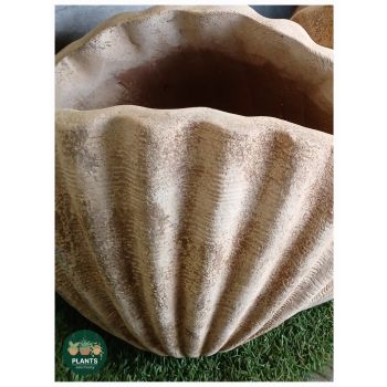 Shell pot Alterra D: 44 x 31 x 33