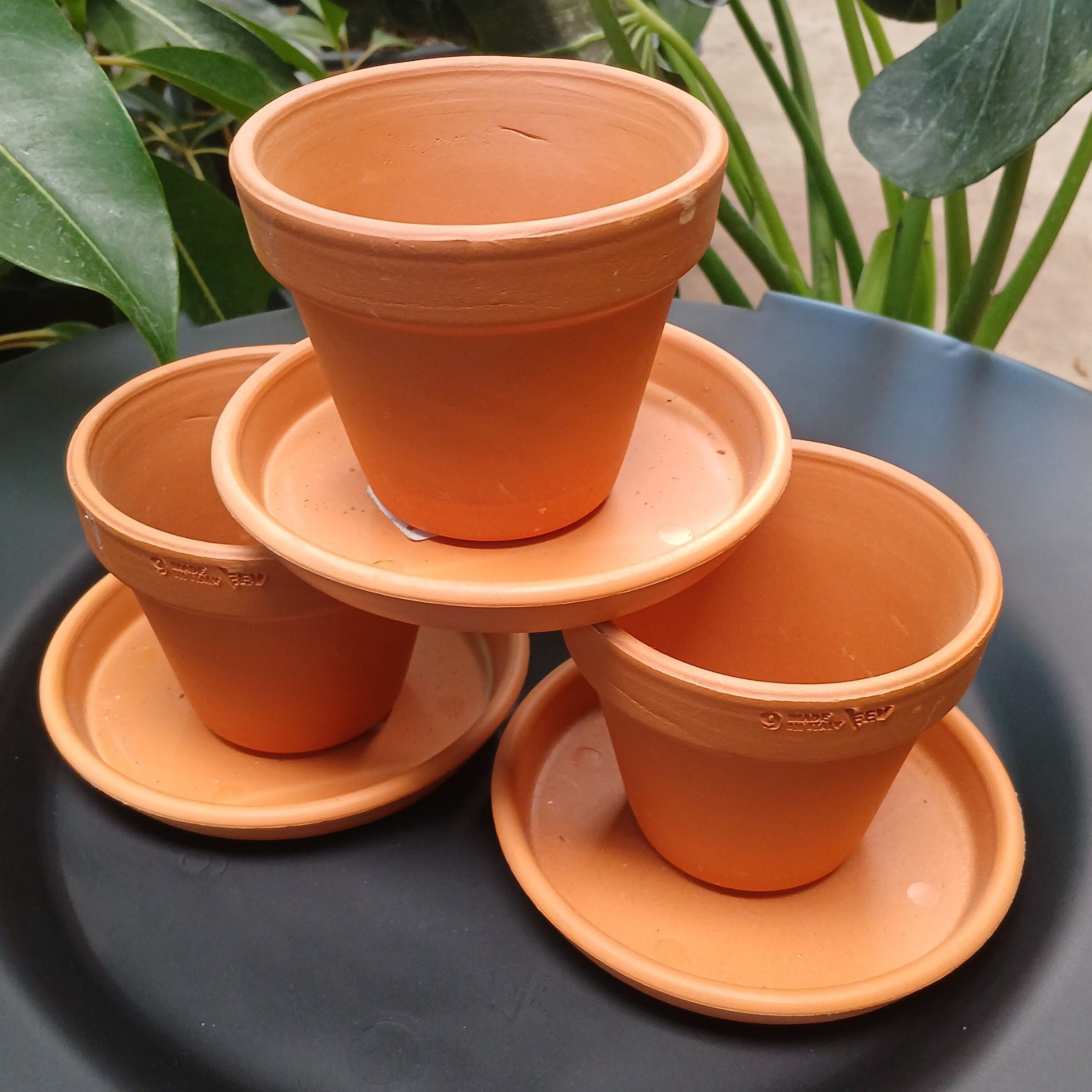 Pots and Planters